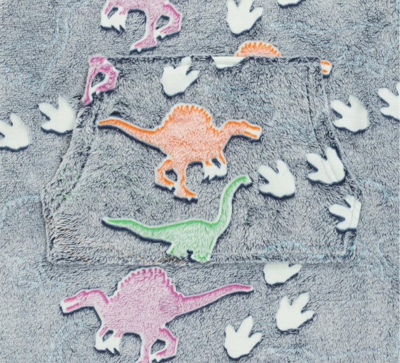 Dino Roar Fleece Hoodie Set
